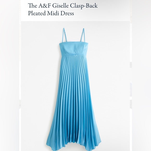 Abercrombie and Fitch Giselle Clasp-Back Pleated Mini Dress - Picture 1 of 4